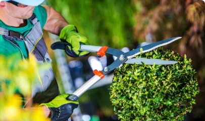 Jardin et extérieur